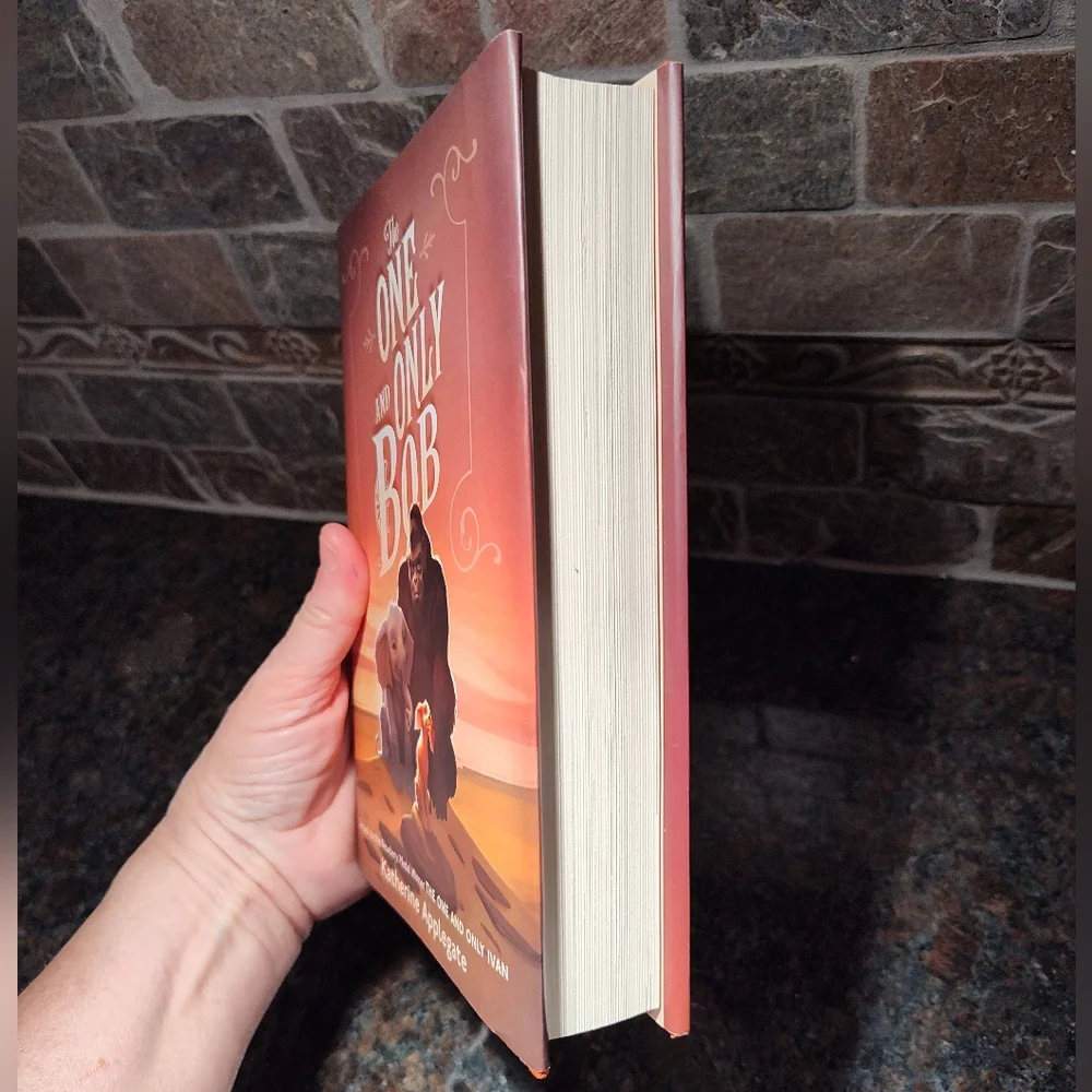 The One and Only Bob Book, Hardcover